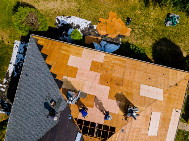 Best Roof Repair Services  in Brownsville, KY