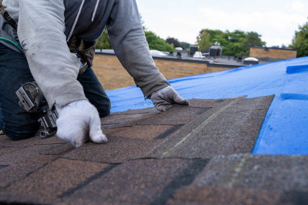 Best Residential Roofing Contractor  in Brownsville, KY