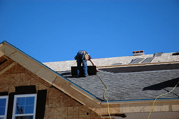Best Storm Damage Roof Repair  in Brownsville, KY